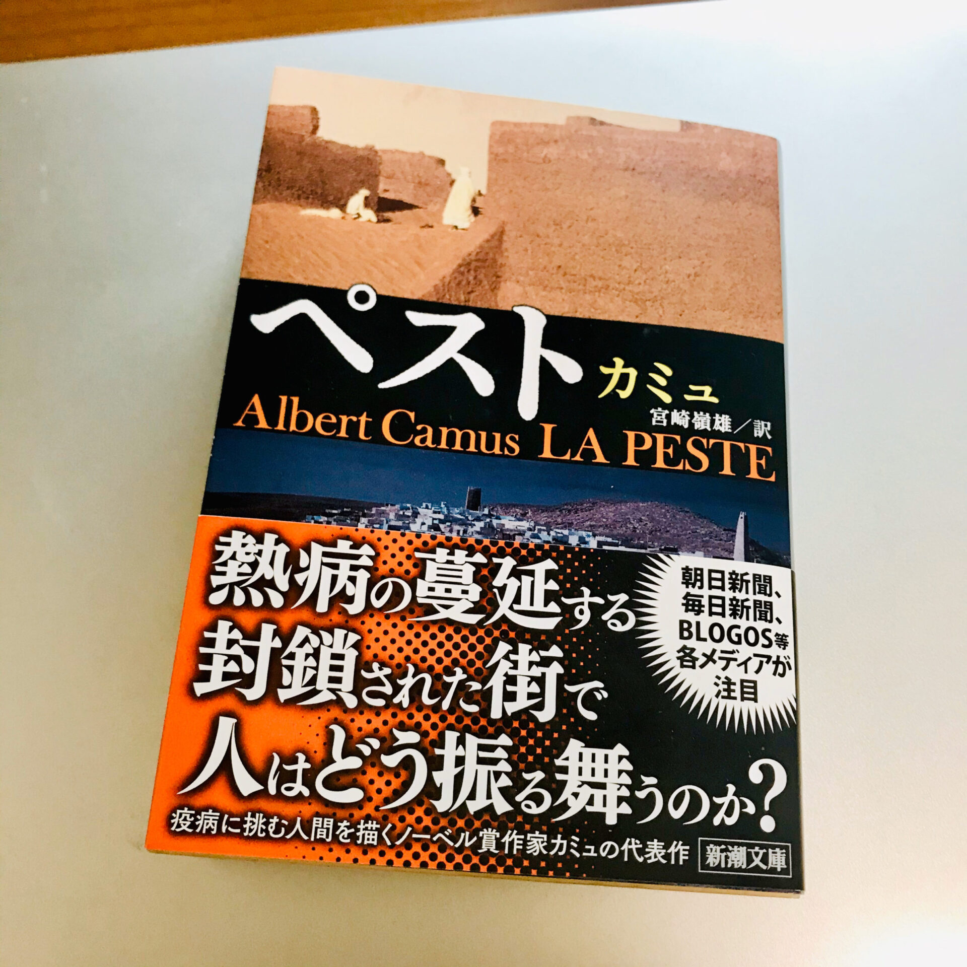 カミュ ペスト は 個人が襲われる 不条理 をどう捉えるかがテーマ サードプレイス ブログ 私と一緒に人生を 拡張 しませんか